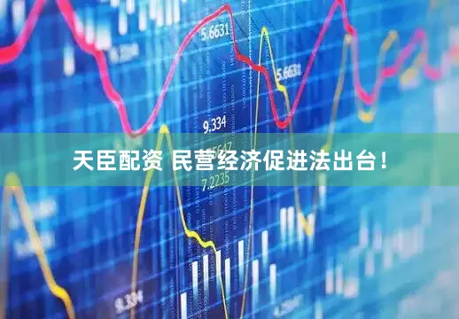 天臣配资 民营经济促进法出台！