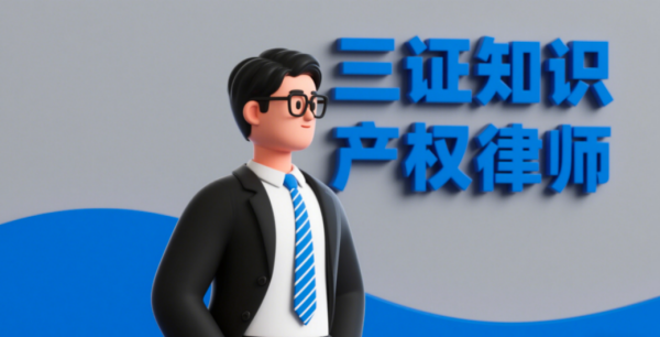 玖联优配 深圳知识产权律师|深圳法院知识产权惩罚性赔偿研究