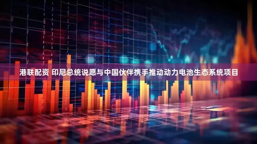 港联配资 印尼总统说愿与中国伙伴携手推动动力电池生态系统项目